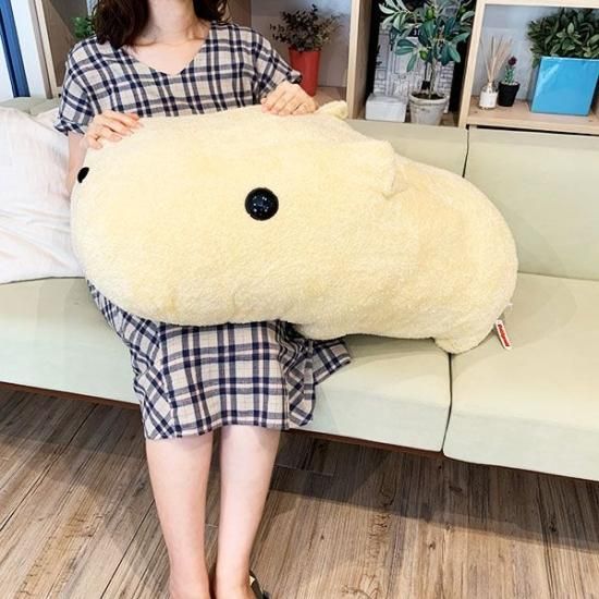 plush toy of the capybaras