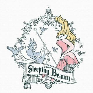 <img class='new_mark_img1' src='https://img.shop-pro.jp/img/new/icons15.gif' style='border:none;display:inline;margin:0px;padding:0px;width:auto;' />【予約品】≪8月入荷予定≫ディズニー 眠れる森美女IKEBANAプリンセス オーロラ姫 一輪挿し 花瓶 アートパネル インテリア Disney 日本製