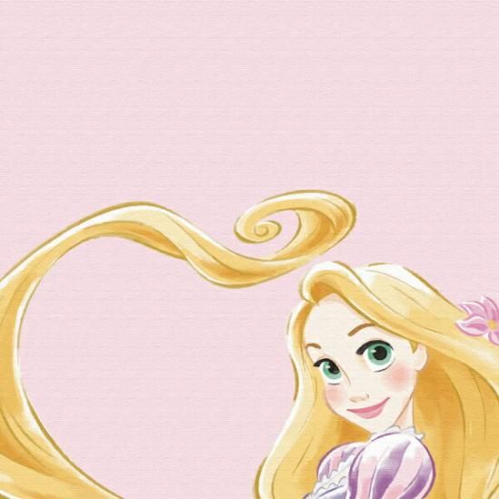 ディズニー ディズニーファン アート 額縁 限定品 ラプンツェル