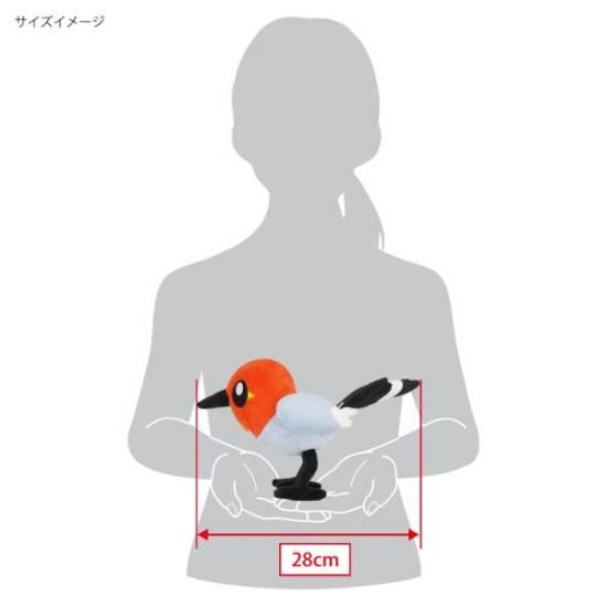 ポケモンぬいぐるみ