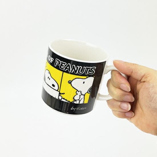 Snoopy tableware