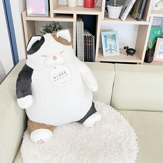 cat-affirming plush toys