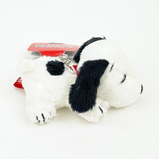 Snoopy's brothers