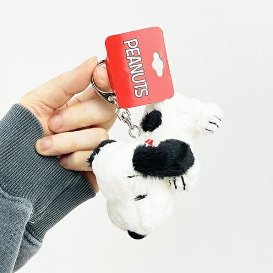 Snoopy's brothers