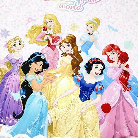 ディズニープリンセスキッズアイテム