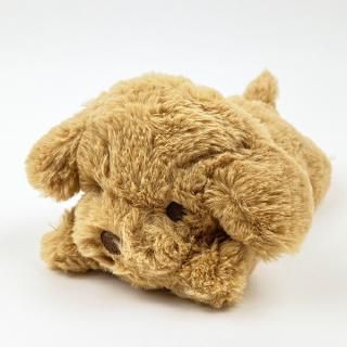 �����äȤӤ�� �ȥ��ס��ɥ� �ߥ˥��å���� ������쥹��