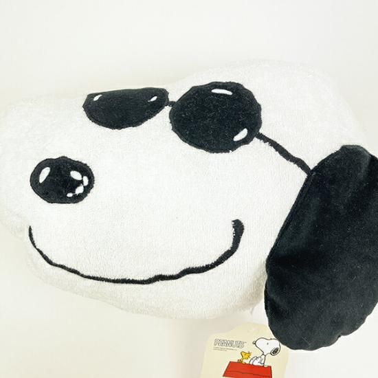 ジョークールのクッションinブランケット