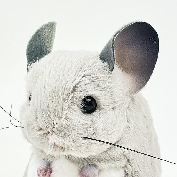 上野動物園　チンチラ　ぬいぐるみ グレー チンチラぬいぐるみ グレー | チンチラ雑貨MarkCrown｜チンチラ