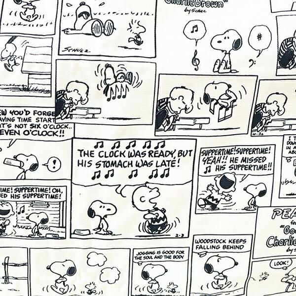 Snoopy comic pattern items