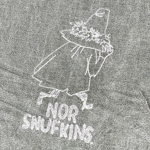 ムーミンのTシャツ