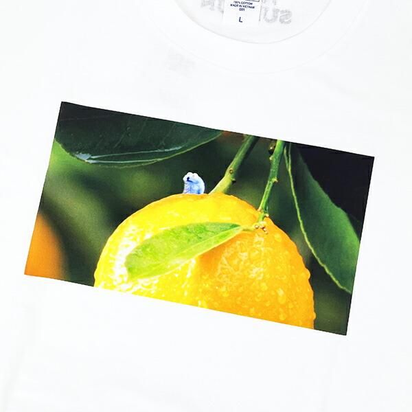 パペットスンスンのＴシャツ