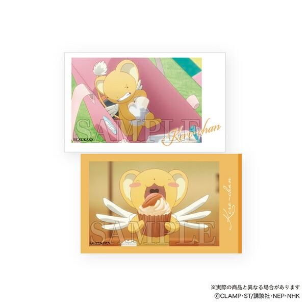 さくらスクエアポーチとコンプBOX