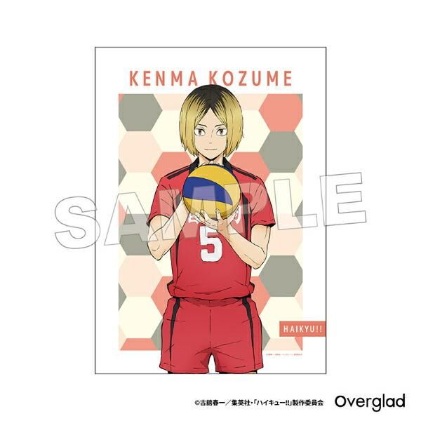 ハイキュー！！ 木兎光太郎 布ポスターパターンアート