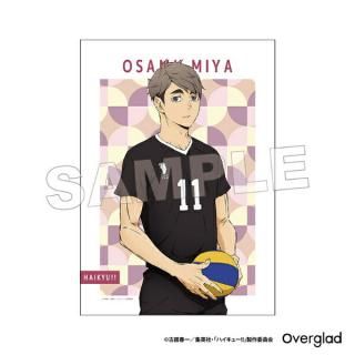 <img class='new_mark_img1' src='https://img.shop-pro.jp/img/new/icons15.gif' style='border:none;display:inline;margin:0px;padding:0px;width:auto;' />�ϥ����塼���� �ܼ� �ۥݥ������ѥ����󥢡���