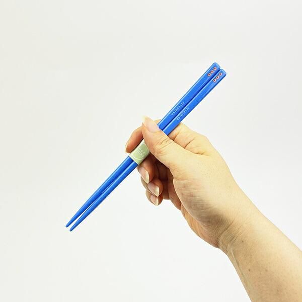 パワーパフガールズ 抗菌食洗機対応 音が鳴らない箸・箸箱セット