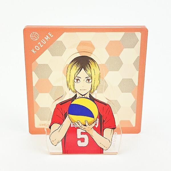 ハイキュー音駒高校グッズ