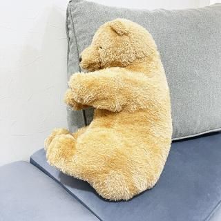 <img class='new_mark_img1' src='https://img.shop-pro.jp/img/new/icons15.gif' style='border:none;display:inline;margin:0px;padding:0px;width:auto;' />������ ź�����ޤ���(M) ���� ������ ����