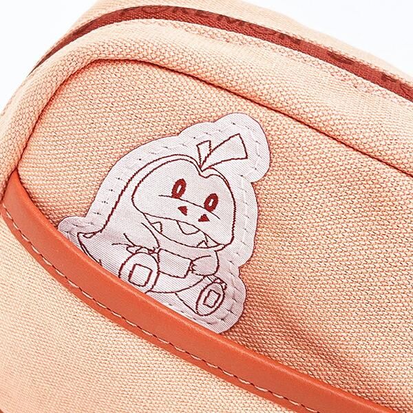 ポケモンのポーチ