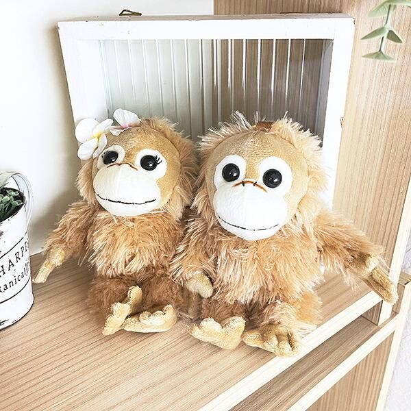 Baby Coco & Natsu ベイビー ココ ナツ ぬいぐるみ　２点 楽天市場】 ベイビーナツ ぬいぐるみM ベイビーココ&ナツ BABY