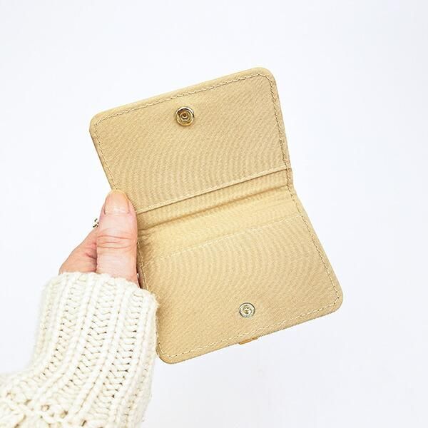 ポケモンのパスケース