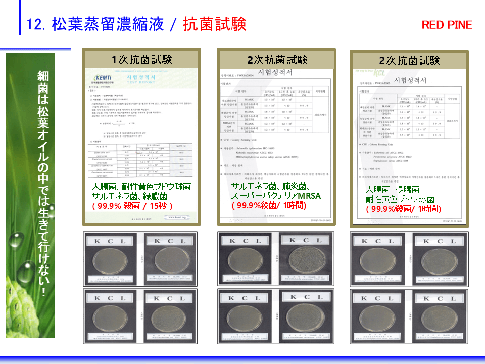 12. վαǻ̱ / ݻ