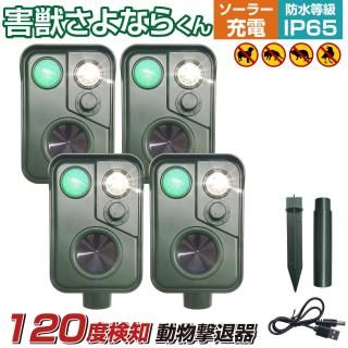 ǭ  ǭ褱 ưʪ ǭ Ķ 󥵡 饹褱 к   顼 USB ǭк ѥͥ ũ  Ļ褱  ൡ 饹