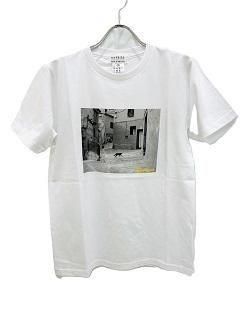 <img class='new_mark_img1' src='https://img.shop-pro.jp/img/new/icons58.gif' style='border:none;display:inline;margin:0px;padding:0px;width:auto;' />Print T-shirt ǭ