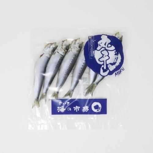し いわし 丸干