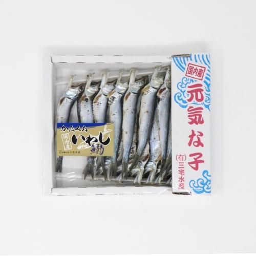 片口いわし丸干し - さいき海の市場〇通販サイト 片口いわし丸干し - さいき海の市場〇通販サイト