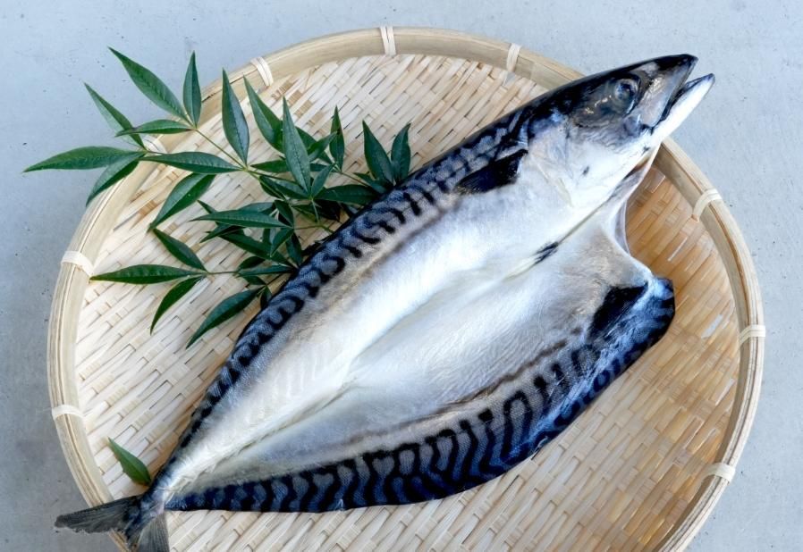 スルメキムチ - 島屋のネットショップ｜日本海さかな街にある