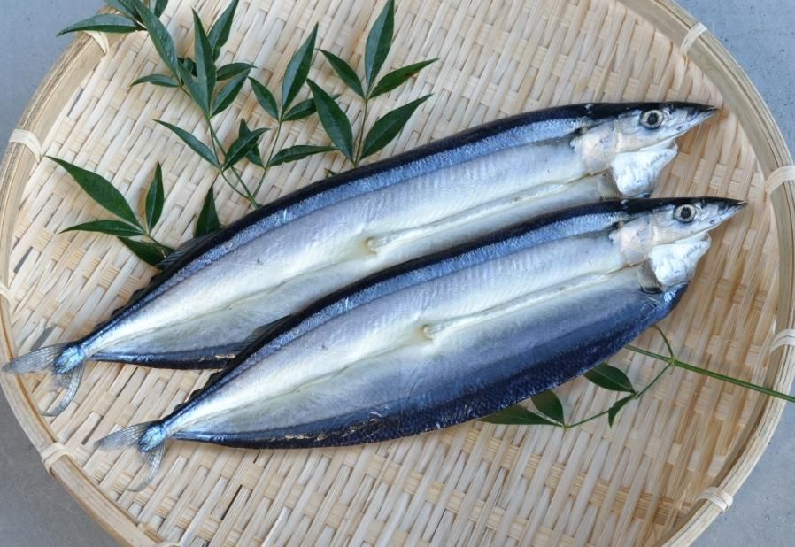 スルメキムチ - 島屋のネットショップ｜日本海さかな街にある