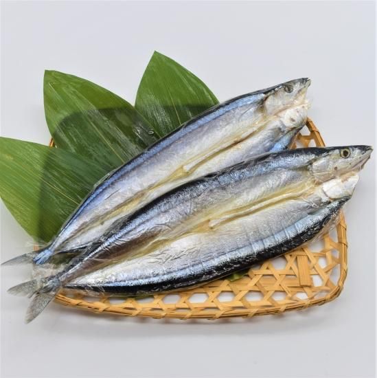 火山灰干し さんま 2枚 【冷凍】 - 島屋のネットショップ｜日本海