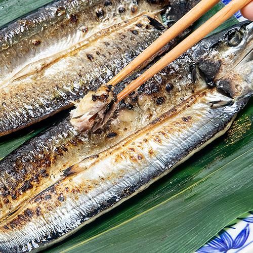 火山灰干し さんま 2枚 【冷凍】 - 島屋のネットショップ｜日本海