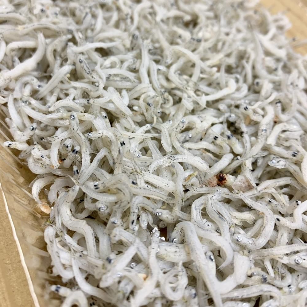 特選！しらす干し 3パック 【冷凍】 - 島屋のネットショップ｜日本海