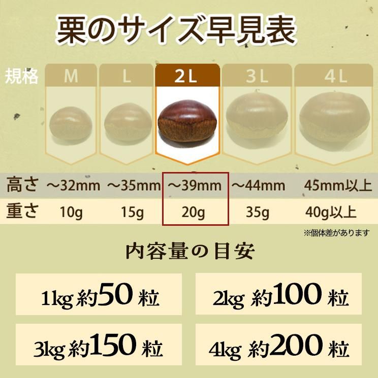栗のサイズ規格（2Lサイズは1粒約20g、1kgで約50粒です。個体差により大きさが異なることがございます）