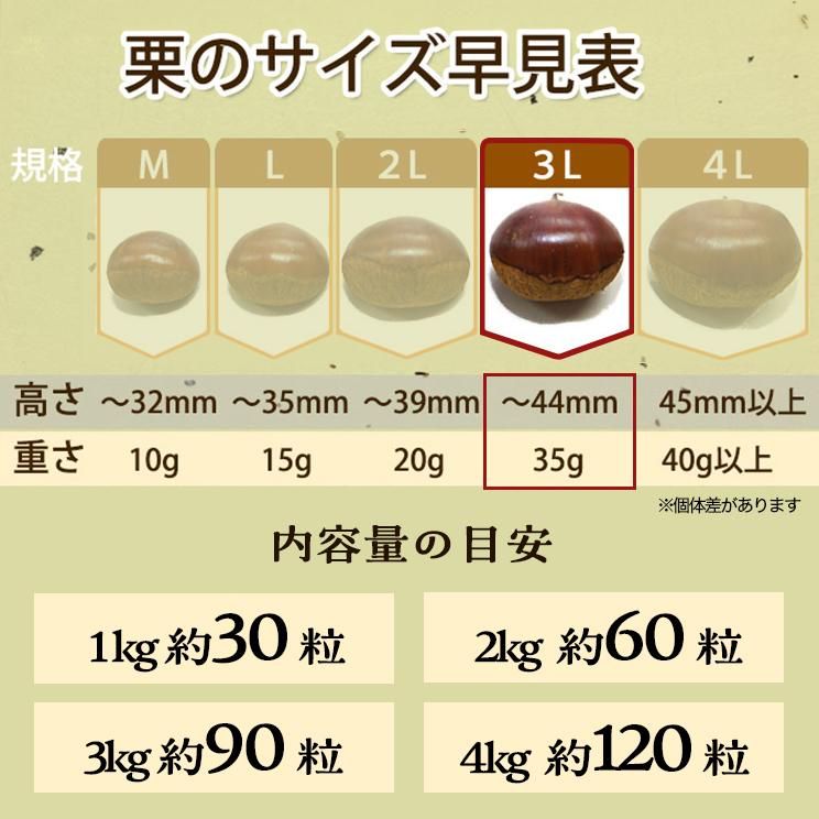 栗のサイズ規格（3Lサイズは1粒約35g、1kgで約30粒です。個体差により大きさが異なることがございます）