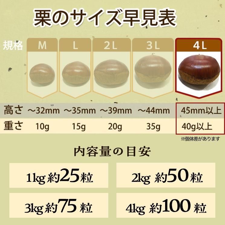 栗のサイズ規格（4Lサイズは1粒約40g以上、1kgで約25粒です。個体差により大きさが異なることがございます）