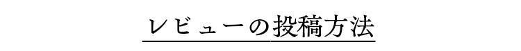 ӥ塼ˡ