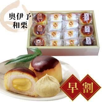 10OFF!̵۷Ȥ8+ۤ3+ۤ췪3ġ14ꥻåȡ