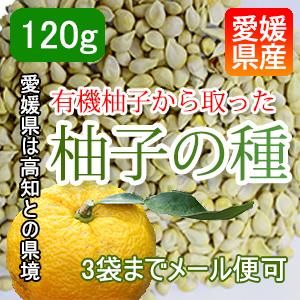 予約 5月17以降発送予定 有機柚子の種 手作り化粧水等におすすめ 道の駅きなはい屋