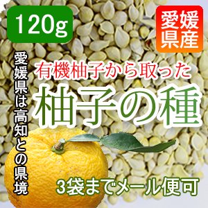 【クリックポスト198円可能】有機柚子の種 手作り化粧水等におすすめ♪