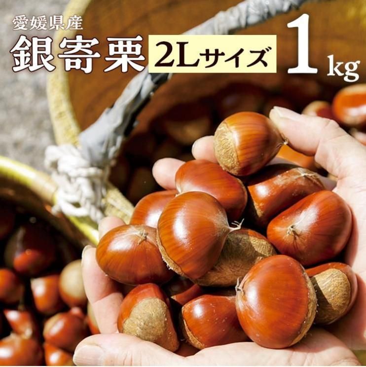愛媛県産 栗7kg 訳あり割れ栗3kgM～Lサイズ 愛媛県産 栗7kg 訳あり割れ栗3kgM～Lサイズ