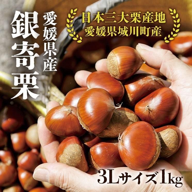 E mily様　生栗　3キロ 9月24日からご予約順に出荷開始予定】愛媛県城川産の中粒【銀寄