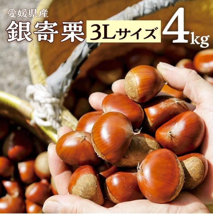 9ܰʹ߽缡ȯ۰ɲγڶ󷪡ˡۡ3L4kgˡ· ͽ