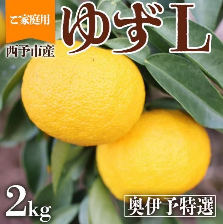  ֤椺Lס2ԡ˰ɲ ͽԻ  ̵  2kg ͮ 楺 yuzu ͮҡ