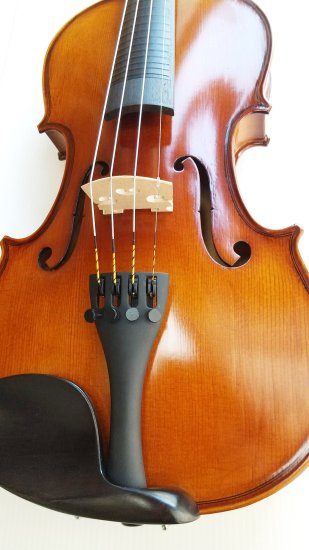 Pretorio 初めてでも簡単に弾ける フレット付きバイオリン セット PV 