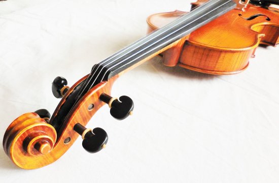 Pretorio アコースティックバイオリン PV-custom