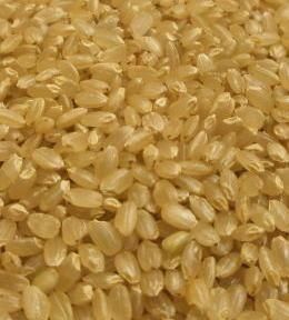 7ǯ۱¥ҥ긼10kg