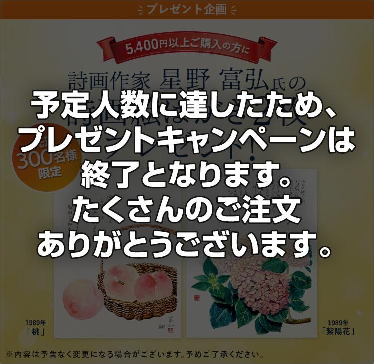 ץ쥼ȥڡϽλޤΤʸ꤬Ȥޤ