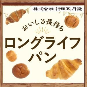 ĸ޷ƲΥ󥰥饤եѥ